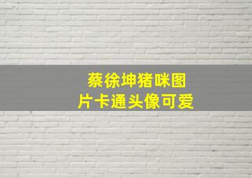 蔡徐坤猪咪图片卡通头像可爱