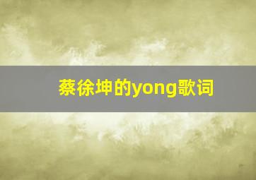 蔡徐坤的yong歌词