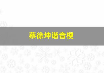 蔡徐坤谐音梗