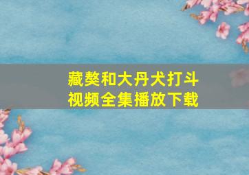 藏獒和大丹犬打斗视频全集播放下载