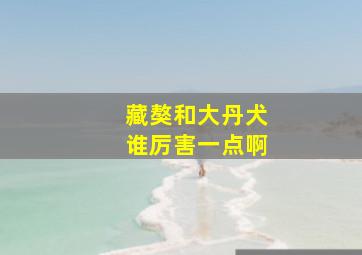 藏獒和大丹犬谁厉害一点啊