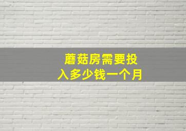 蘑菇房需要投入多少钱一个月