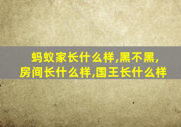 蚂蚁家长什么样,黑不黑,房间长什么样,国王长什么样