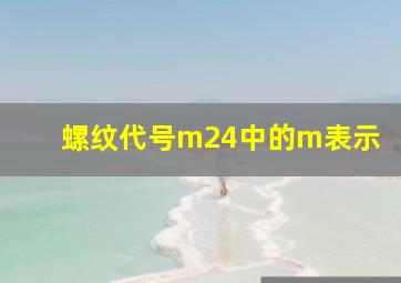 螺纹代号m24中的m表示