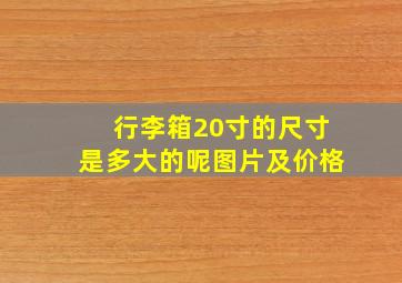 行李箱20寸的尺寸是多大的呢图片及价格