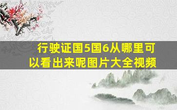 行驶证国5国6从哪里可以看出来呢图片大全视频