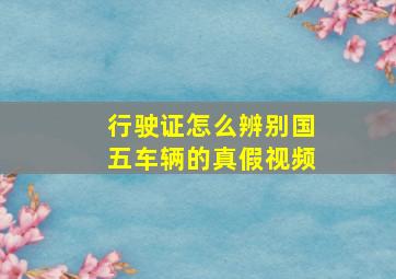 行驶证怎么辨别国五车辆的真假视频