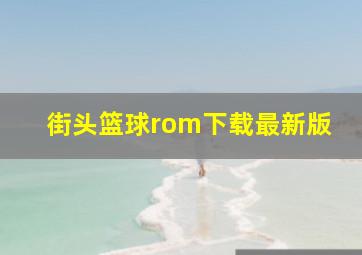 街头篮球rom下载最新版