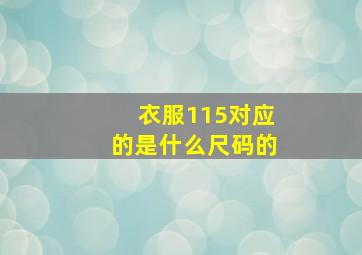 衣服115对应的是什么尺码的