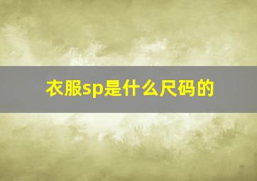 衣服sp是什么尺码的