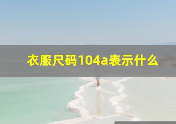 衣服尺码104a表示什么