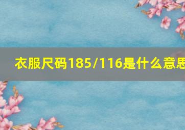 衣服尺码185/116是什么意思