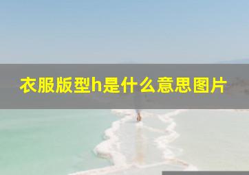 衣服版型h是什么意思图片