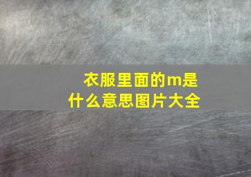 衣服里面的m是什么意思图片大全