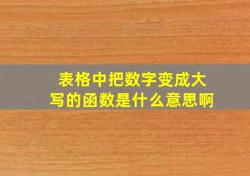 表格中把数字变成大写的函数是什么意思啊