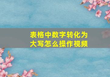 表格中数字转化为大写怎么操作视频