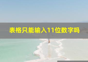 表格只能输入11位数字吗