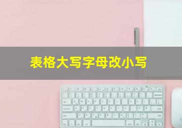 表格大写字母改小写