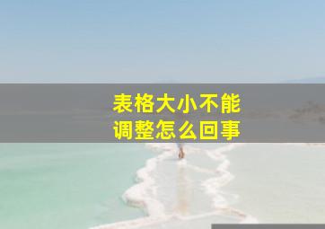 表格大小不能调整怎么回事