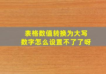 表格数值转换为大写数字怎么设置不了了呀