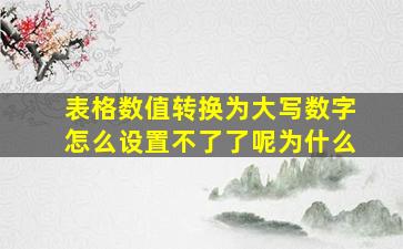 表格数值转换为大写数字怎么设置不了了呢为什么