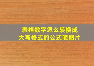 表格数字怎么转换成大写格式的公式呢图片