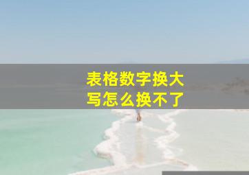 表格数字换大写怎么换不了