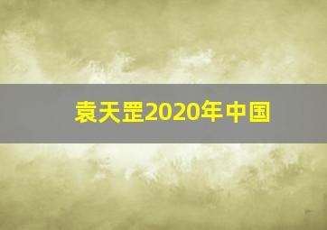 袁天罡2020年中国