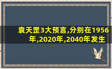 袁天罡3大预言,分别在1956年,2020年,2040年发生