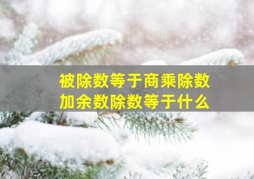 被除数等于商乘除数加余数除数等于什么