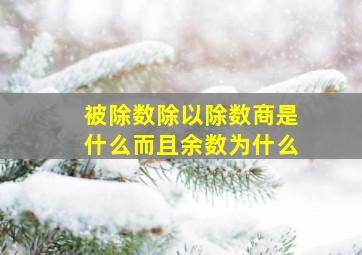 被除数除以除数商是什么而且余数为什么