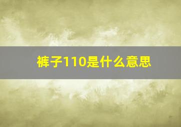 裤子110是什么意思