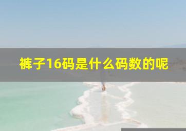 裤子16码是什么码数的呢