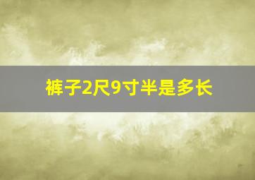 裤子2尺9寸半是多长