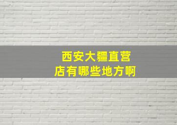 西安大疆直营店有哪些地方啊