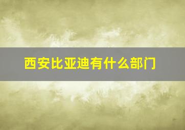 西安比亚迪有什么部门