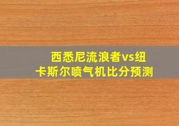 西悉尼流浪者vs纽卡斯尔喷气机比分预测