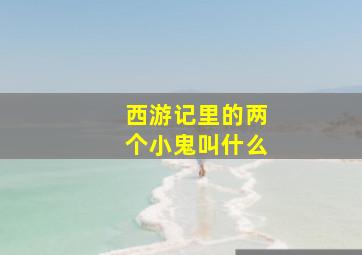 西游记里的两个小鬼叫什么