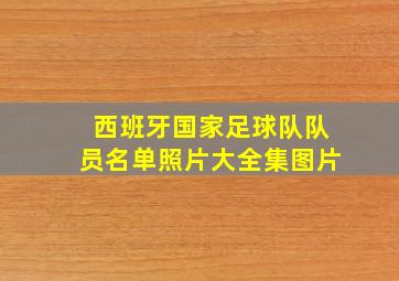 西班牙国家足球队队员名单照片大全集图片