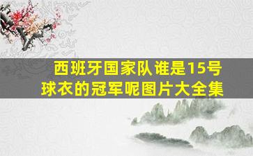 西班牙国家队谁是15号球衣的冠军呢图片大全集