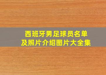 西班牙男足球员名单及照片介绍图片大全集