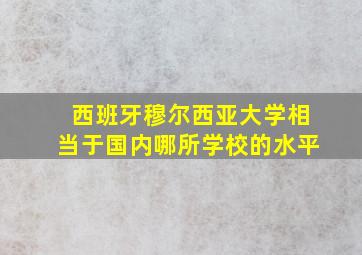 西班牙穆尔西亚大学相当于国内哪所学校的水平