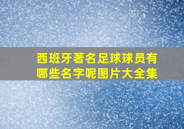 西班牙著名足球球员有哪些名字呢图片大全集