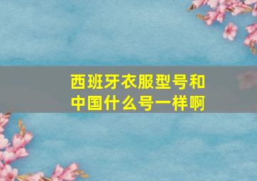 西班牙衣服型号和中国什么号一样啊