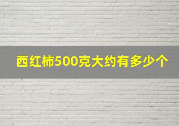 西红柿500克大约有多少个