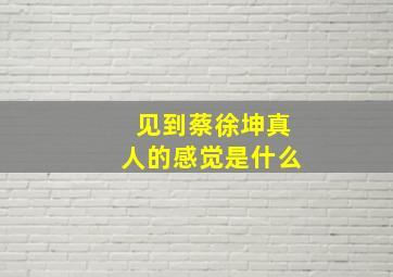 见到蔡徐坤真人的感觉是什么