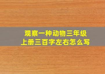 观察一种动物三年级上册三百字左右怎么写