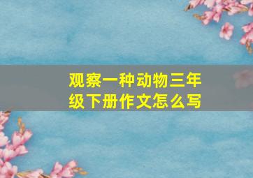 观察一种动物三年级下册作文怎么写