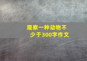 观察一种动物不少于300字作文