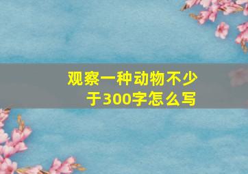 观察一种动物不少于300字怎么写